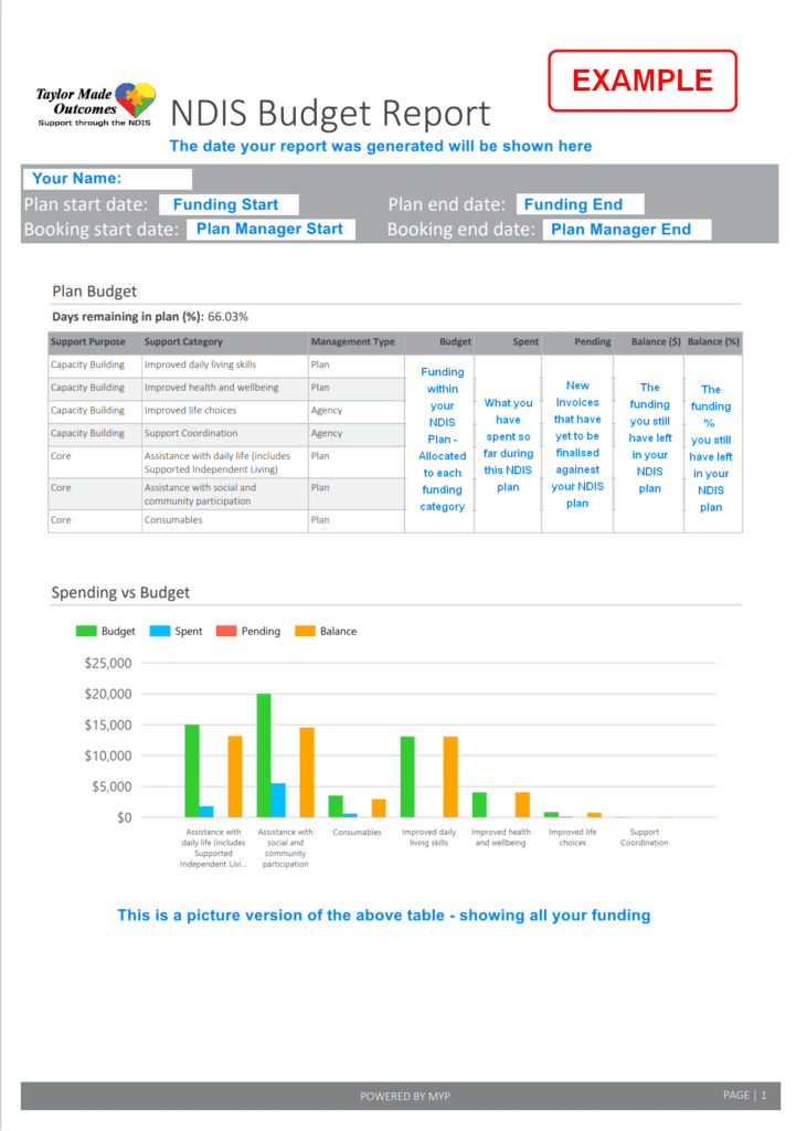 budget report page 1 731x1024 Plan Management Budget Report